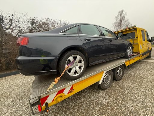 Faschparker Heilbronn